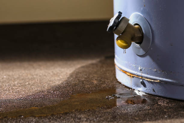 Best Sewage cleanup and water damage restoration  in Nashua, NH