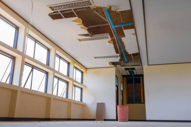 Best Mold removal after water damage  in Nashua, NH