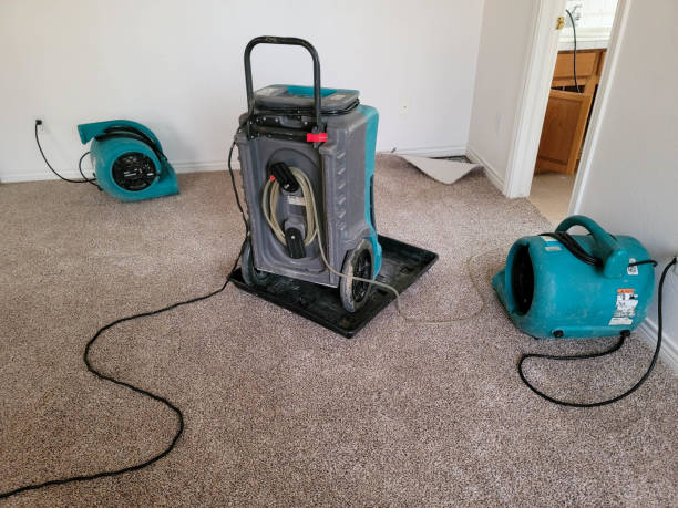 Trusted NH Water damage restoration Experts