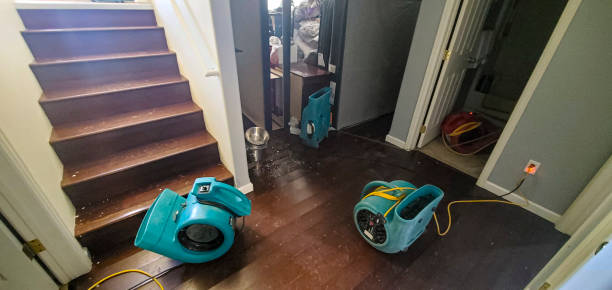 Best Water damage contractors near me  in Nashua, NH