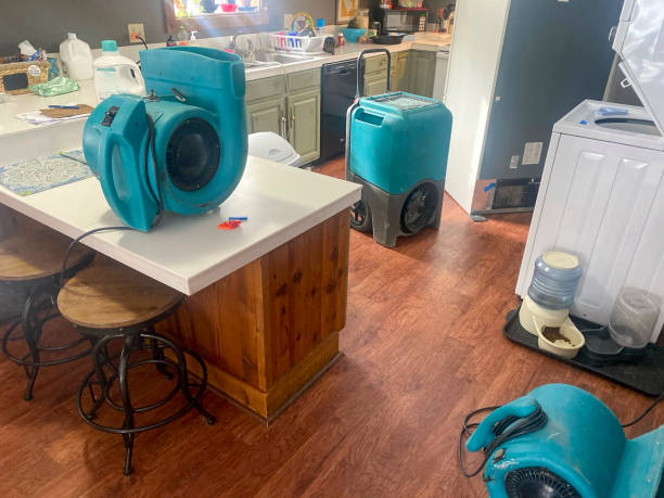 Nashua, NH Water damage restoration Pros