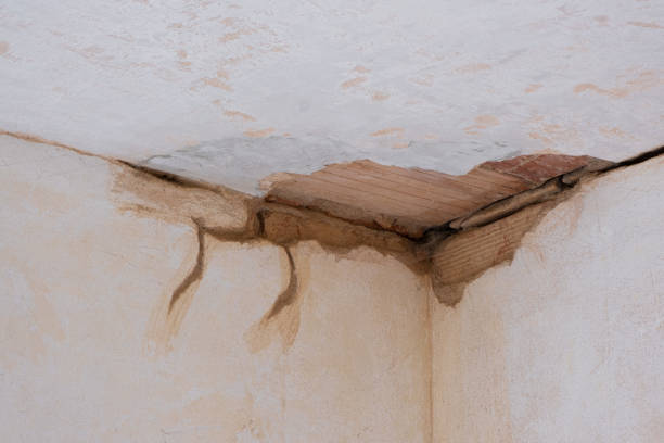 Best Residential water damage restoration  in Nashua, NH