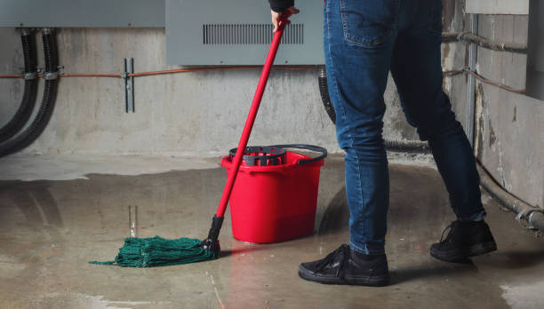 Best Local water damage restoration  in Nashua, NH