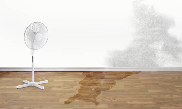 Best Ceiling water damage repair  in Nashua, NH