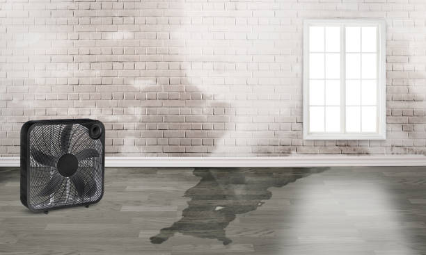 Best Water damage repair service  in Nashua, NH