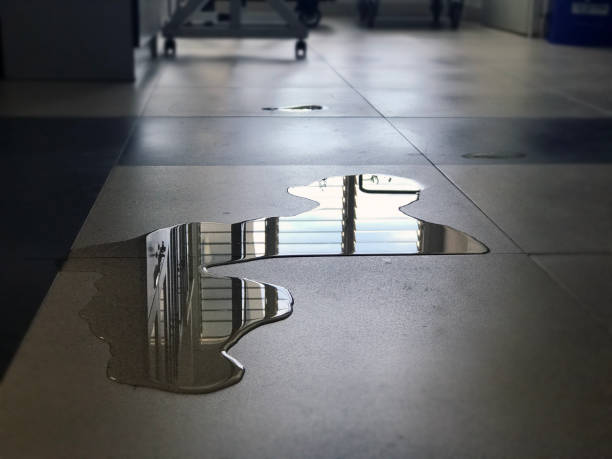 Best 24/7 water damage repair  in Nashua, NH