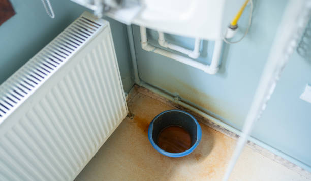 Best Mold removal after water damage  in Nashua, NH