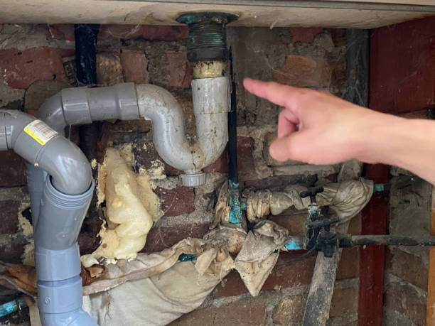 Best Fire Damage Restoration  in Nashua, NH