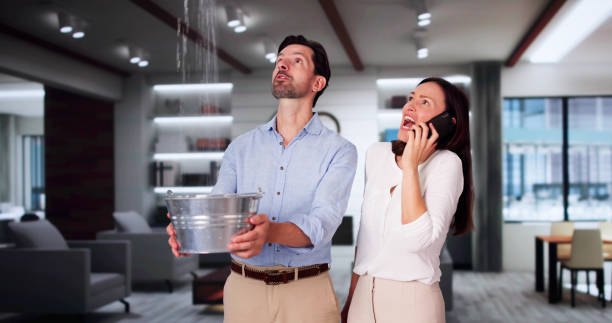 Best Sewage cleanup and water damage restoration  in Nashua, NH