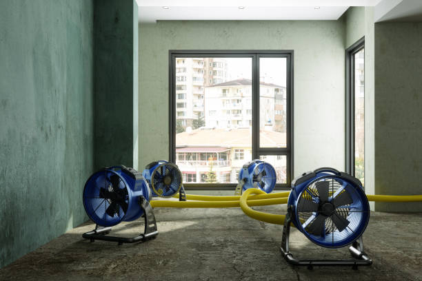 Best Professional water damage repair  in Nashua, NH
