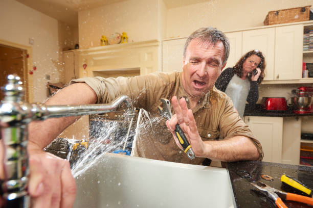 Best Professional water damage repair  in Nashua, NH